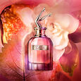 Scandal Coffret Eau de Parfum 50ml +Vapo 10ml