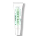 Mint Lip Balm Mario Badescu