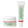 Watermelon And Basil Limited Edition-set: Voedende lippenbalsem 10 g + Rijk nachtmasker voor de lippen 14 g