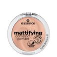 Mattifying Compact Powder Matteer Compact Poeder
