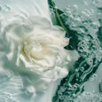 Spray Algues et Fleurs Leonor Greyl