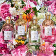 Aqua Allegoria Orange Soleia Guerlain