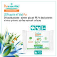 Assainissant Puressentiel