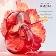 Omnia Coral Bvlgari