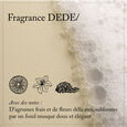 DEDE Solid Shampoo Davines