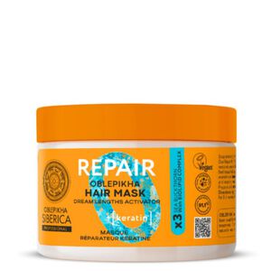 Oblepikha_O Repair