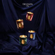 Fir Trudon