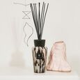 Black Pearls Baobab Collection