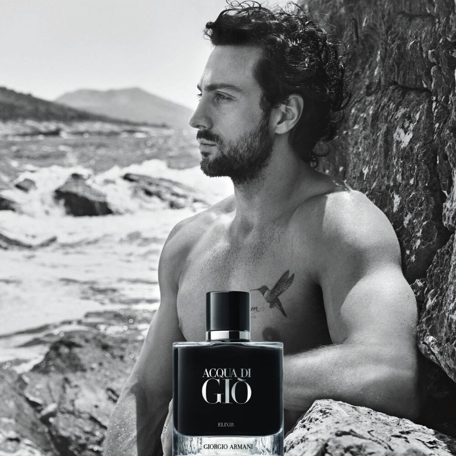 Acqua di Giò Elixir Armani Parfum MyOrigines