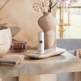 The Ritual of Sakura Rituals
