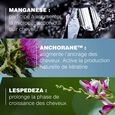 Ducray S&eacute;rum Antichute et Ancrage Anaphase Neoptide Ducray