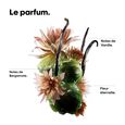 Absolut Repair Molecular l'or&eacute;al professionnel