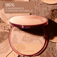 Bronzing Compact Clarins