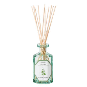 Menthe Verte