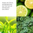 Green Tea D&eacute;odorant Cr&egrave;me