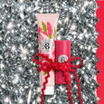 Gingembre Rouge Set met lippenbalsem voor een stralende look + verzorgende handcr&egrave;me 30 ml