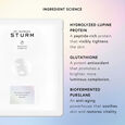 Everything Hydrogel Mask Dr. Barbara Sturm