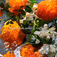 Aqua Allegoria Forte Mandarine Basilic Gift Set Eau de Parfum 75ml + 7.5ml Sample + 75ml Body Lotion
