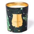 Fir Trudon