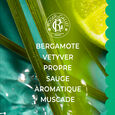 Vétyver Roger&Gallet