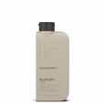 BLOW DRY RINSE Kevin Murphy