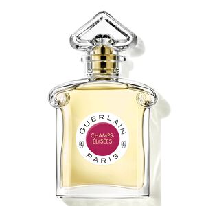 Champs-Elys&eacute;es