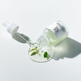 Calming Serum Green Tea + Panthenol Beauty Of Joseon