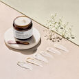 Daily Renew Facial Cream Evolve Organic Beauty