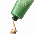 Heartleaf Quercetinol Cleansing Foam Anua