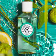 V&eacute;tyver Roger&Gallet