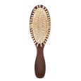 Brosse de Voyage Christophe Robin