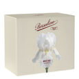 White Iris Gift Set Eau de Parfum 100 ml + 140 g Candle