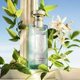 Eau Parfum&eacute;e Th&eacute; Vert Set Eau de Toilette van 75 ml + 2 producten