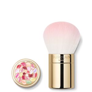 M&eacute;t&eacute;orites