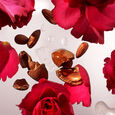 The Ritual Of Ayurveda Coffret Mousse de Douche 50ml + Cr&egrave;me pour le Corps 70ml + Huile S&egrave;che pour le Corps 30ml + bBrume Parfum&eacute;e 20ml
