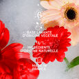 Gingembre Rouge Roger&Gallet