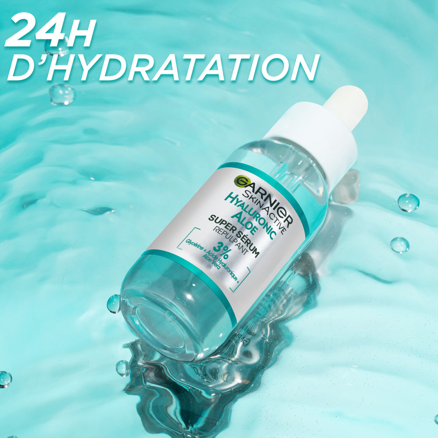 aloe ähnliche pflanze Aloe Pflanzen Mischung mit Topf & Aufhängung