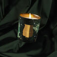 Fir Trudon
