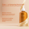 Chanvre et M&eacute;lisse Bio LAO Care