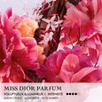 Miss Dior Parfum Roller-Pearl Parfum Roll-on Notes florales Fruit&eacute;es et Bois&eacute;es 20ml