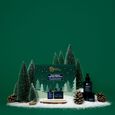 Les Prescriptions V&eacute;g&eacute;tales Intensives Docteur Renaud
