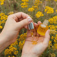 Immortelle Oden