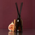 Figuier Santal What Matters