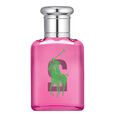 Big Pony Women Ralph Lauren