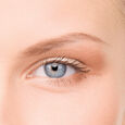 Palette Perfect Eyebrows Parisax