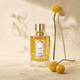 Sables Goutal Paris