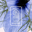 Eau Florale de Bleuet Bio Organic Cornflower Floral Water -Plastic Bottle- 200 ml
