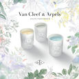 A l'Ombre des Figuiers van cleef & arpels