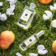 English Pear & Sweet Pea Woda kolonska 100 ml