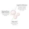 Super 16 Advanced Nutri-Active Collagen S&eacute;rum Oskia